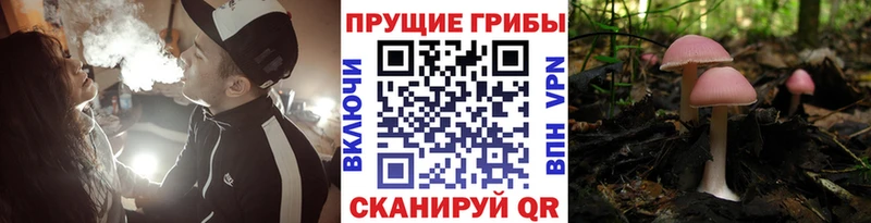 Галлюциногенные грибы мухоморы  Купить закладки  Уяр 